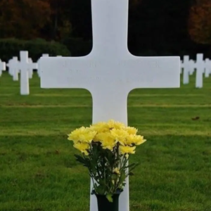 BOUQUET JAUNE DANS UN VASE