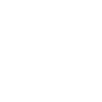 pictogramme-globe-localisation-livraison-internationale-florist-american-cemetery-la-comedie-des-fleurs-epinal